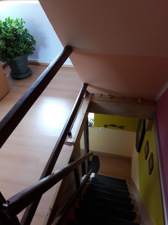 Ferienwohnung Osterbrink 伊尔森堡 外观 照片