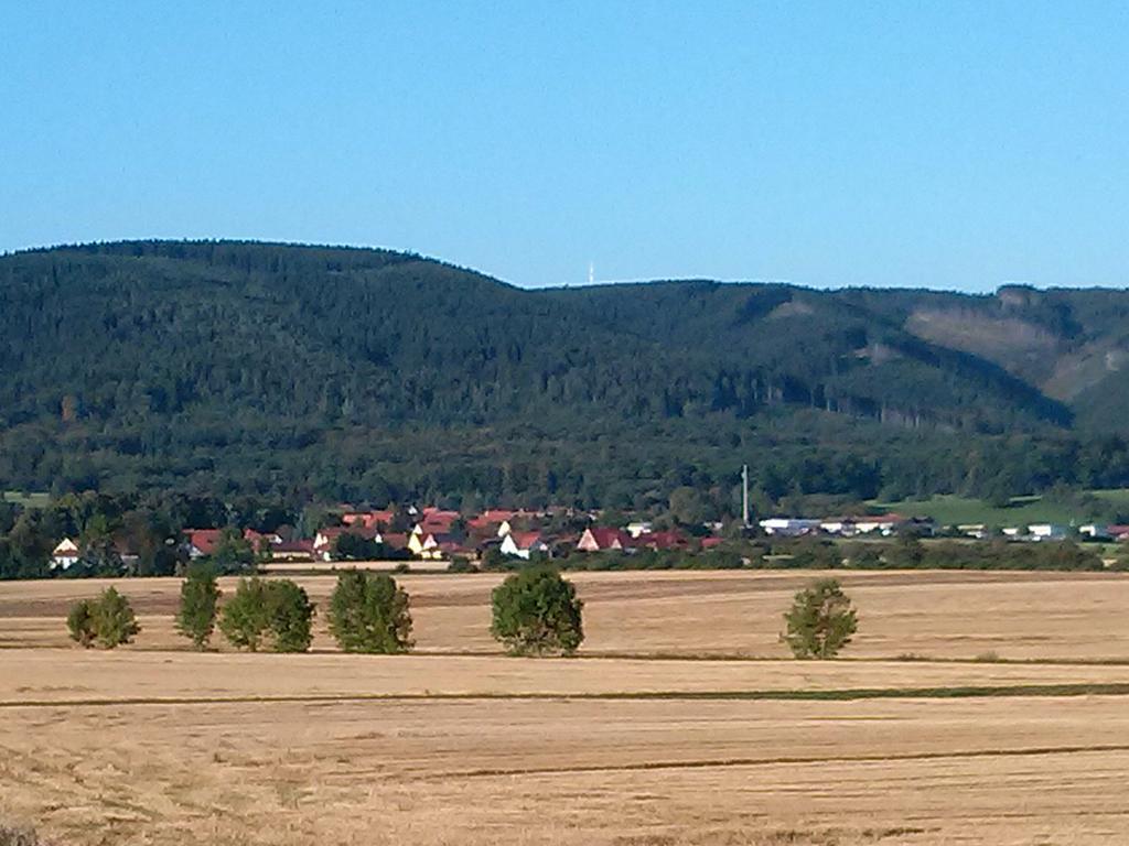 Ferienwohnung Osterbrink 伊尔森堡 外观 照片